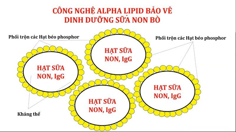 cong nghe alpha lipid 1786431136 5306