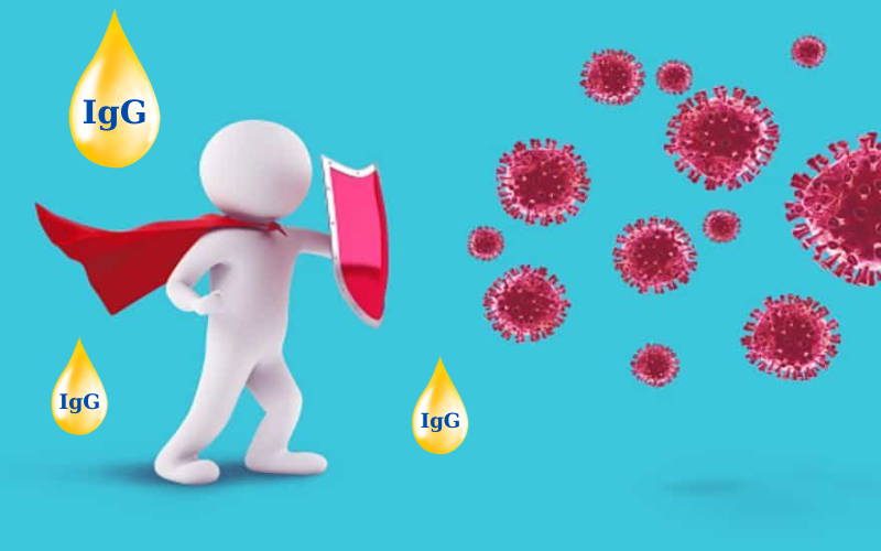 Lợi ích của kháng thể IgG trong việc tăng cường hệ miễn dịch - Hakichi 4 igg