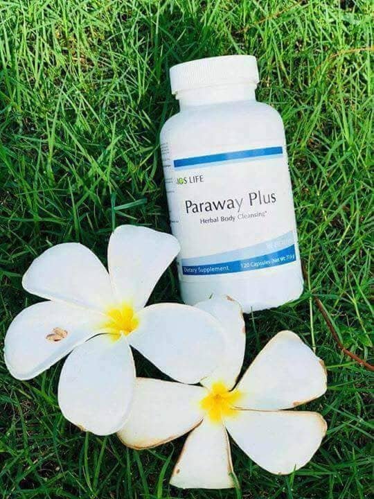 paraway plus 1784263684 8187
