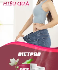 Dietpro 9 510x1020 1
