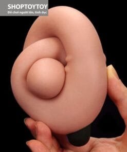 Duong vat silicon 2 dau 3