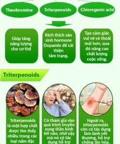 Unimate Tra Vi Chanh Gung 04