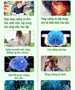 Unimate Tra Vi Chanh Gung 06