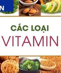 cac loai vitamin