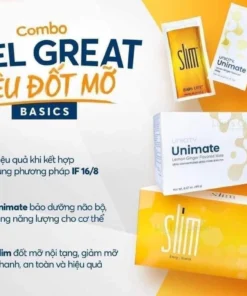 dot mo 1