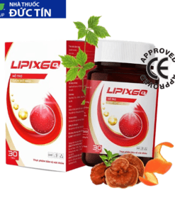 lipixgo copy 1