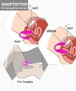 Trứng rung tình yêu 2 đầu Pretty Love Indulgence massage điểm G không dây 10 pretty love indulgence 12