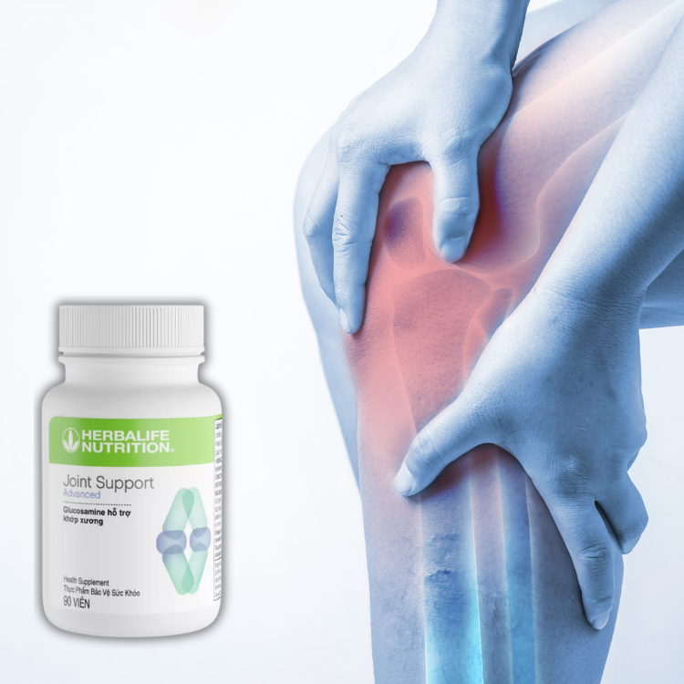 Joint Support là gì? Tác dụng sản phẩm Joint Support của Herbalife - Hakichi 2 herbalife joint support