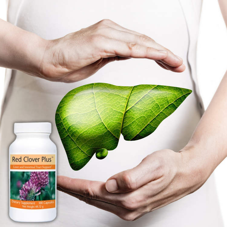 thai doc gan red clover plus