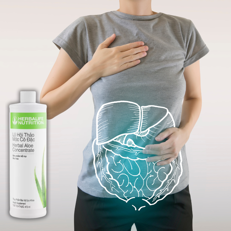 Khám phá thành phần Lô hội Herbalife - Hakichi 2 Lo hoi Herbalife 2