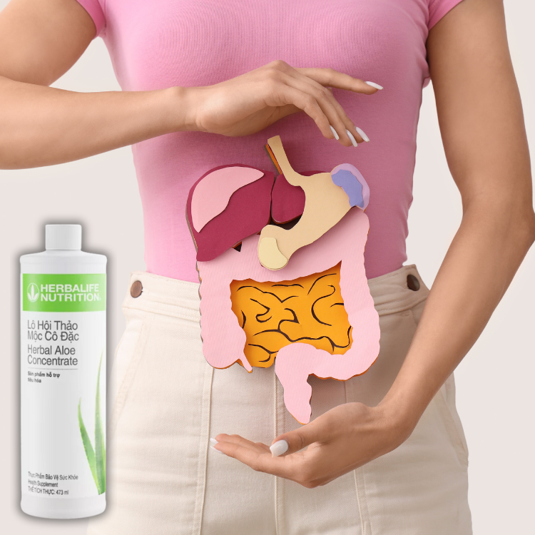 Lô hội Herbalife có mấy vị? Vị nào ngon nhất? - Hakichi 1 Lo hoi Herbalife 3