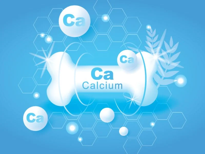 Canxi cơm Nhật Bản là canxi hữu cơ hay vô cơ? - Hakichi 1 canxi huu co 2 dccb2e4bc297461aa2f9788ad7b5968a