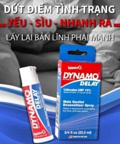 dynamo2