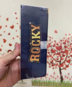 rocky2