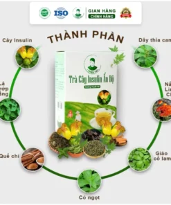 Trà cây Insulin Ấn Độ THIỀU TÀI Trà thảo mộc nước trà tốt cho đường huyết 1 hộp/30 túi lọc