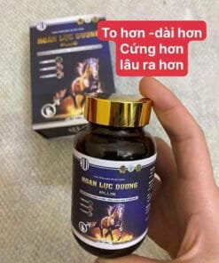 hoanluc4