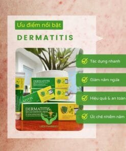 cong dung Kem boi da tri nam ngua dermatitis thuy sy