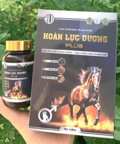 Hoàn Lực Dương Plus