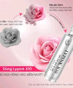 honghoa4