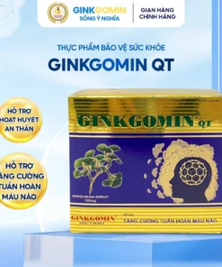 Hộp 100 Viên Ginkgomin QT Hỗ Trợ Tuần Hoàn Máu Não, Thiểu Năng Tuần Hoàn Máu Não - Ảnh 2