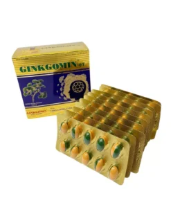 Hộp 100 Viên Ginkgomin QT Hỗ Trợ Tuần Hoàn Máu Não, Thiểu Năng Tuần Hoàn Máu Não - Ảnh 5