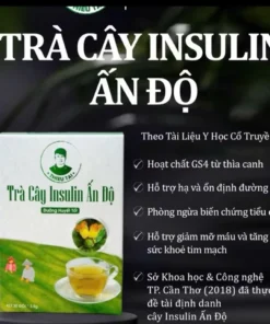 Trà thảo mộc Insulin Ấn Độ hỗ trợ đường huyết 30 túi lọc/hộp 13 Trà thảo mộc Insulin Ấn Độ hỗ trợ đường huyết 30 túi lọc/hộp - Ảnh 7