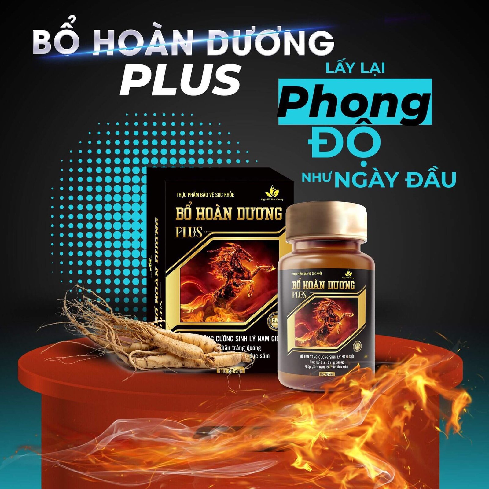 Bổ Hoàn Dương Plus – Hỗ trợ nam giới tăng cường sinh lý hiệu- Hakichi 5 Bo hoan duong 1