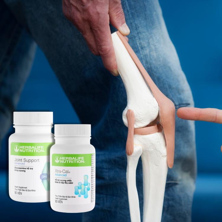 Bộ xương khớp Herbalife chính hãng (Xtra-Cal, Joint Support) - Hakichi 5 Bo xuong khop cua Herbalife