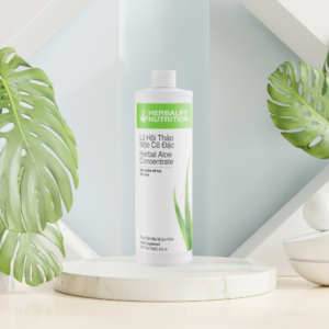Tác dụng của lô hội Herbalife - Hakichi