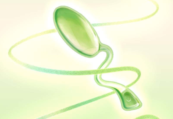 Trứng Rung vô hình MESANEL Green Bean điều khiển từ xa kích thích G-Spot