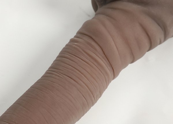 Dương vật giả Alistair L00833 silicone da màu siêu mềm đóng đất dính tường