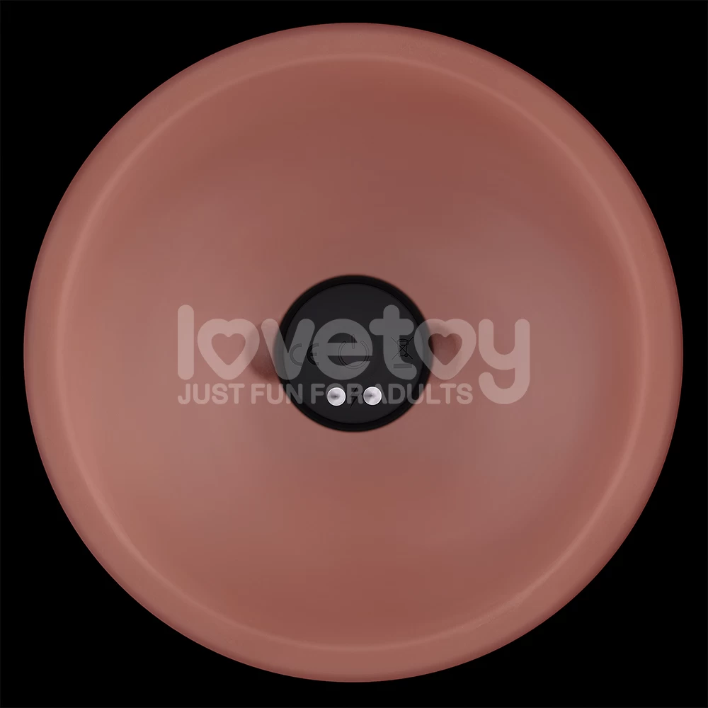 Cửa hàng bán Dương vật giả dính tường Lovetoy Dual Density 6 inch có rung giống thật cao- hakichi 9 Cửa hàng bán Dương vật giả dính tường Lovetoy Dual Density 6 inch có rung giống thật cao cấp