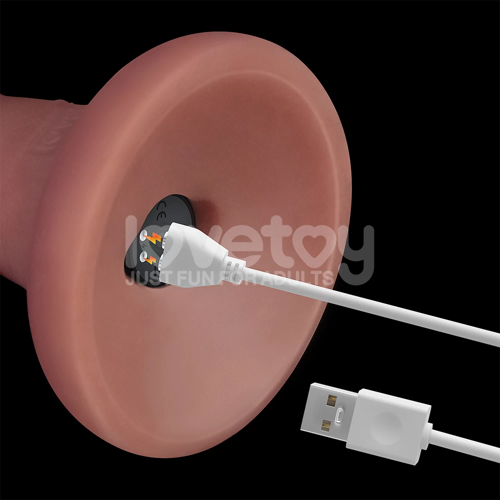 Cửa hàng bán Dương vật giả dính tường Lovetoy Dual Density 6 inch có rung giống thật cao- hakichi 10 Cửa hàng bán Dương vật giả dính tường Lovetoy Dual Density 6 inch có rung giống thật cao cấp