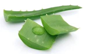 Nước lô hội Herbalife có tốt không? - Hakichi