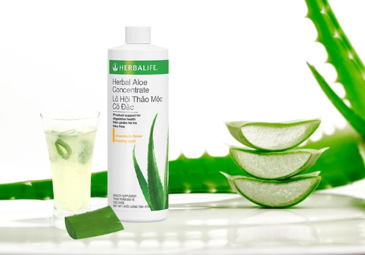 Khám phá thành phần Lô hội Herbalife - Hakichi