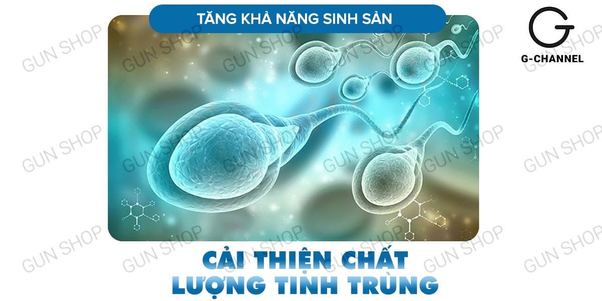 Maxman 10 viên chính hãng tăng cường sinh lý kéo dài thời gian quan hệ 5 Maxman 10 viên chính hãng tăng cường sinh lý kéo dài thời gian quan hệ
