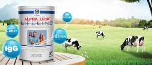 Nguồn gốc sữa non Alpha Lipid và uy tín nhà sản xuất New Image - Hakichi