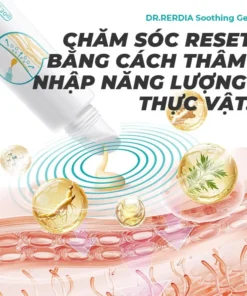 Gel làm dịu DR.RERDIA, Nhân sâm, Gừng, Ngải cứu, Thành phần tự nhiên, Chăm sóc nhẹ nhàng 7 Gel làm dịu DR.RERDIA, Nhân sâm, Gừng, Ngải cứu, Thành phần tự nhiên, Chăm sóc nhẹ nhàng - Ảnh 2