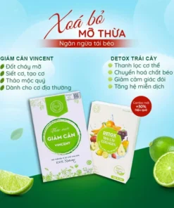 Viên Uống Giảm Cân Vincent Sâm Tố Nữ Trà Thảo Mộc Giảm Cân Giảm Mỡ Trong Máu An Toàn Tặng Detox - Ảnh 3