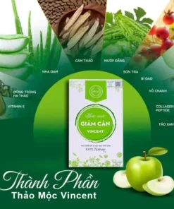 Viên Uống Giảm Cân Vincent Sâm Tố Nữ Trà Thảo Mộc Giảm Cân Giảm Mỡ Trong Máu An Toàn Tặng Detox - Ảnh 4