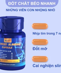USA giảm mỡ bụng tốc giảm nhanh chóng thuốc giảm cân cấp tốc giảm cân - Ảnh 8