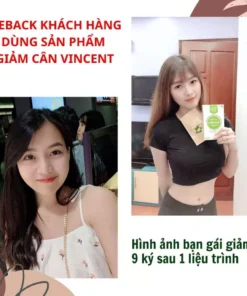 Viên Uống Giảm Cân Vincent Sâm Tố Nữ Trà Thảo Mộc Giảm Cân Giảm Mỡ Trong Máu An Toàn Tặng Detox - Ảnh 7