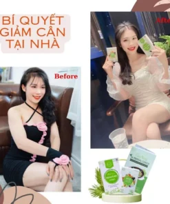 Viên Uống Giảm Cân Vincent Sâm Tố Nữ Trà Thảo Mộc Giảm Cân Giảm Mỡ Trong Máu An Toàn Tặng Detox - Ảnh 8