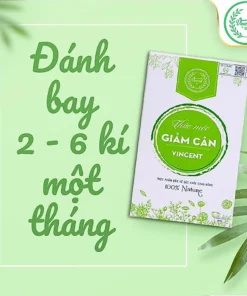 Viên Uống Giảm Cân Vincent Sâm Tố Nữ Trà Thảo Mộc Giảm Cân Giảm Mỡ Trong Máu An Toàn Tặng Detox - Ảnh 9