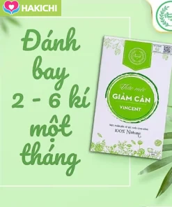 Viên Uống Giảm Cân Vincent Sâm Tố Nữ Trà Thảo Mộc Giảm Cân Giảm Mỡ Trong Máu An Toàn Tặng Detox - Ảnh 19