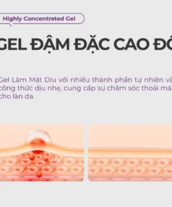 Kem Bôi Trĩ Kreain Nature Chiết Xuất Nghệ Và Thảo Mộc Hỗ Trợ Giảm Khó Chịu, Chăm Sóc Da Dịu Nhẹ 20g - Ảnh 7