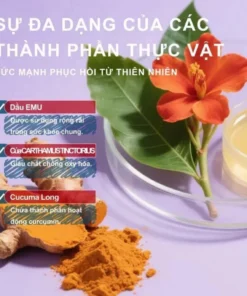 Kem Xoa Bóp Giảm Đau Xương Khớp LANZF SOUTH MOON – Kem Chondroitin LANp,ZF Phục Hồi Cơ Xương Khớ Cổ Vai Gáy - Ảnh 6