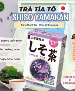 TRÀ TÍA TÔ SHISO TEA NHẬT BẢN - Ảnh 2