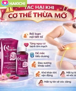 Viên Uống Giảm Béo Body [Chính Hãng Cao Cấp] Giảm cân Sline nhanh cấp tốc không phải thuốc giảm cân hộp 60 viên - Ảnh 3