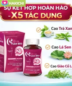 Viên Uống Giảm Béo Body [Chính Hãng Cao Cấp] Giảm cân Sline nhanh cấp tốc không phải thuốc giảm cân hộp 60 viên - Ảnh 8